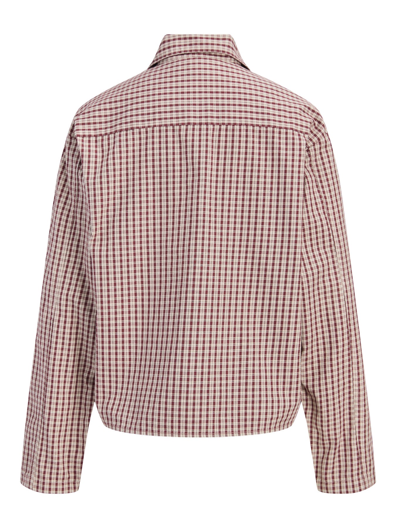Asta check shirt